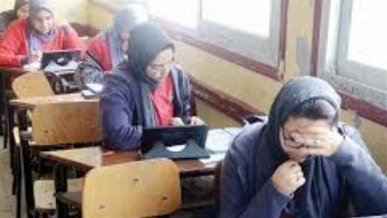 رابط مباشر.. كيفية الاستعلام عن نتيجة الصف الأول الثانوي 2026 برقم الجلوس